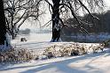 2010-12-02, Neuschnee (24)